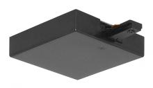 Acuity Brands T36 RP BL - Trac-Master T-Bar End Feed, 1-Circuit, R