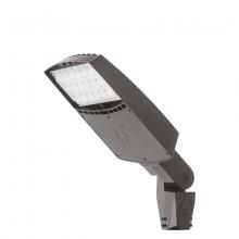 Acuity Brands RSXF1 LED P1 40K WFL MVOLT IS DDBXD - RSXF Flood Size 1, LED, Package 1, 4000K