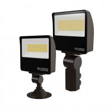 Acuity Brands ESXF1 ALO SWW2 KY DDB M2 - Floodlight