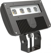 Acuity Brands DSXF2 LED P2 50K WFL MVOLT YKC62 DDBXD GEN2 - D-Series Size 2 LED Flood Luminaire, LED