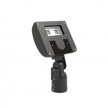 Acuity Brands DSXF1 LED P1 40K WFL MVOLT IS DWHXD - D-Series Size 1 LED Flood Luminaire, LED