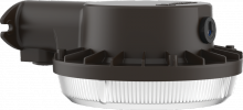 Acuity Brands BGS P1 40K 120 PE DDB M2 - Area Light