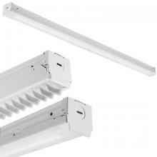 Acuity Brands ZL1N L24 1500LM FST MVOLT 50K 80CRI WH - Z SERIES LED STRIP LIGHT, 24IN, 1,500LM,