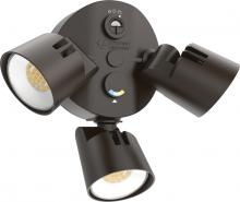Acuity Brands HGX LED 3RH ALO SWW2 120 PE DDB M2 - Floodlight