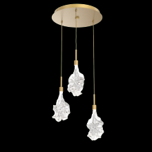 Hammerton CHB0059-03-GB-BC-C01-L3 - Blossom Round 3pc Multi-Pendant