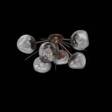 Hammerton CLB0095-02-BB-ZS-L1 - Luna Flush Starburst