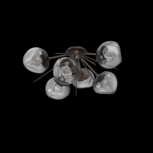 Hammerton CLB0095-02-FB-ZS-L1 - Luna Flush Starburst