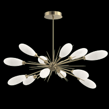 Hammerton PLB0071-0A-HB-WL-001-L3 - Fiori Oval Starburst Chandelier 50&#34;