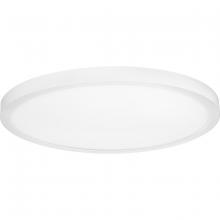 Progress P810018-030-30 - Everlume Collection 18&#34; Edgelit Surface Mount