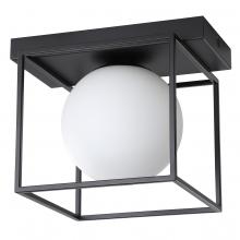 Eglo 205618A - 1 LT Open Frame Ceiling Light or Wall Light With Matte Black Finish and White Sphere Shaped Glass