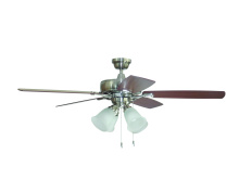 Craftmade TCE52BNK5C4-C - 52&#34; Fan w/Blades & LED Light Kit (Express Install)