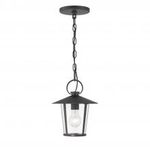 Crystorama AND-9203-CL-MK - Andover 1 Light Matte Black Outdoor Pendant
