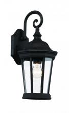 Trans Globe 40400 BK - Westfield Hexagon Shaped, Clear Glass, Armed Outdoor Wall Lantern Light