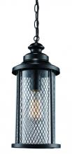 Trans Globe 40746 BK - Stewart 20.5&#34; Hanging Lantern