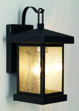 Trans Globe 45640 WB - Santa Cruz 12&#34; Wall Lantern