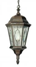 Trans Globe 4717 RT - Villa Nueva 1-Light Spanish Inspired Ornate Outdoor Hanging Pendant