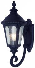 Trans Globe 5040 BK - Commons 19&#34; Wall Lantern