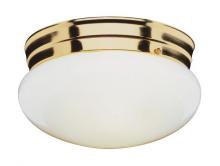 Trans Globe PL-3618 PB - Dash 8&#34; Flushmount