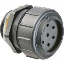 Arlington NMPV1257 - 1-1/4&#34; 7-HOLE STRT CON