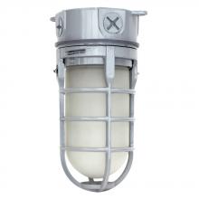Cree C-VT-B-SMCL-10L-40K-GR - VT JELLY JAR IP65, 1000L, CEILING MT, 40K, 120V-
