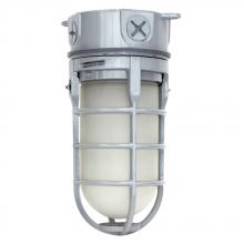 Cree C-VT-B-SMCL-10L-50K-GR - VT JELLY JAR IP65, 1000L, CEILING MT, 50K, 120V-