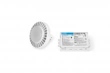 Lutron Electronics 3LDPCF-1K30-24 - CFLEX RPG24Q142V1L8303WKG2