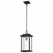 Satco 60/7377 - SULLIVAN 1LT OUTDOOR HANGING