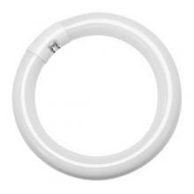 TCP 3203041K - 30W CIRCLINE LAMP 41K