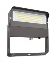 EiKO FL3/100W/750/UD/Y/PC - FLOOD LIGHT 100W 5000K 120-277V DIM 0-10