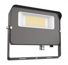 EiKO FL2/50W/7FCCT/UD/Y/PC - FLOOD LIGHT 50W 50/40/3000K 120-277V 0-1