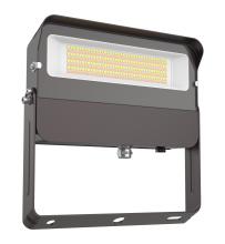 EiKO FL3/100W/7FCCT/UD/Y/PC - FLOOD LIGHT 100W 50/40/3000K 120-277V 0-