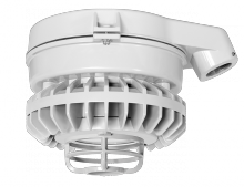 RAB Lighting HAZSLED42FF-DG - HAZ 42W 5KLED STAN FRSTFL DIECST GD