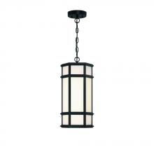 Eurofase 42691-013 - 18&#34; Outdoor LED Pendant