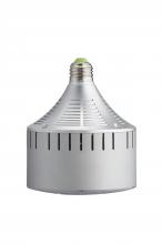 Light Efficient Design LED-8055M57 - 30W RECESSED / PAR RETROFIT, E39, 5700K