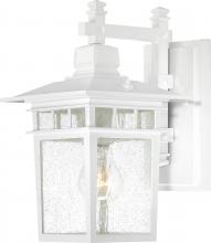 Nuvo 60/3491 - Cove Neck - 1 Light - 12&#34; Outdoor Lantern with Clear Seed Glass; Color retail packaging