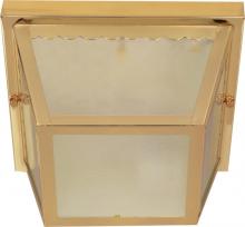 Nuvo 60/471 - 2 Light - 10&#34; Carport Flush with Textured Frosted Glass - Polished Brass Finish