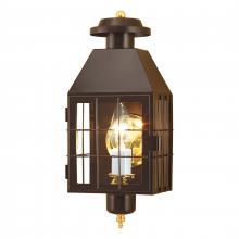 ELK Home 1059-BR-CL - American Heritage 16.5&#39;&#39; High 1-Light Outdoor Sconce - Bronze