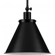 Progress Lighting, a Hubbell affiliate P500325-031 - P500325-031 1-100W MED PENDANT