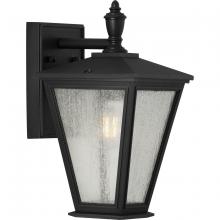 Progress Lighting, a Hubbell affiliate P560166-031 - P560166-031 1-60W MED WALL LANTERN