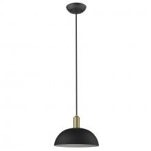 Trend Lighting by Acclaim TP30100BK - Ingo 1-Light Pendant